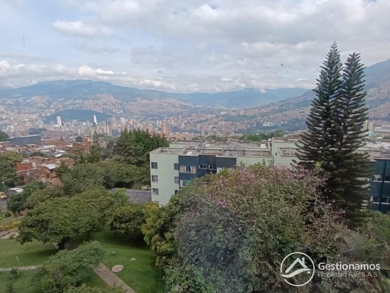 WhatsApp Image 2025-11-04 at 8.32.29 AM.jpeg